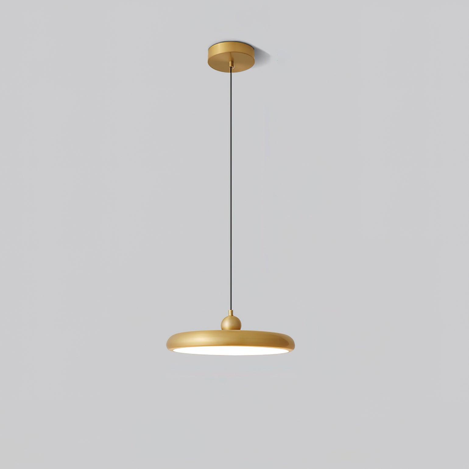 Thin Disc Pendant Lamp - Blowlighting
