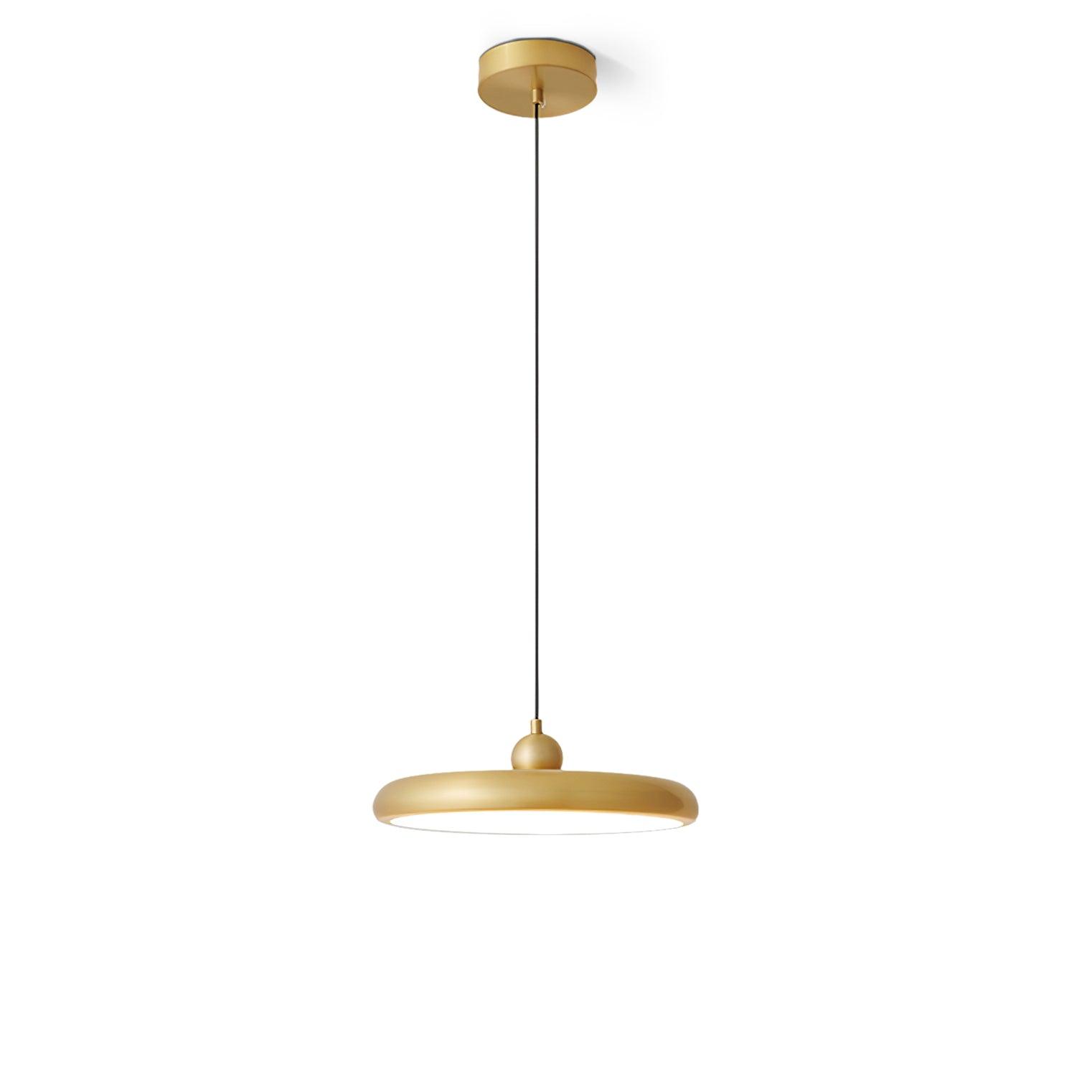 Thin Disc Pendant Lamp - Blowlighting