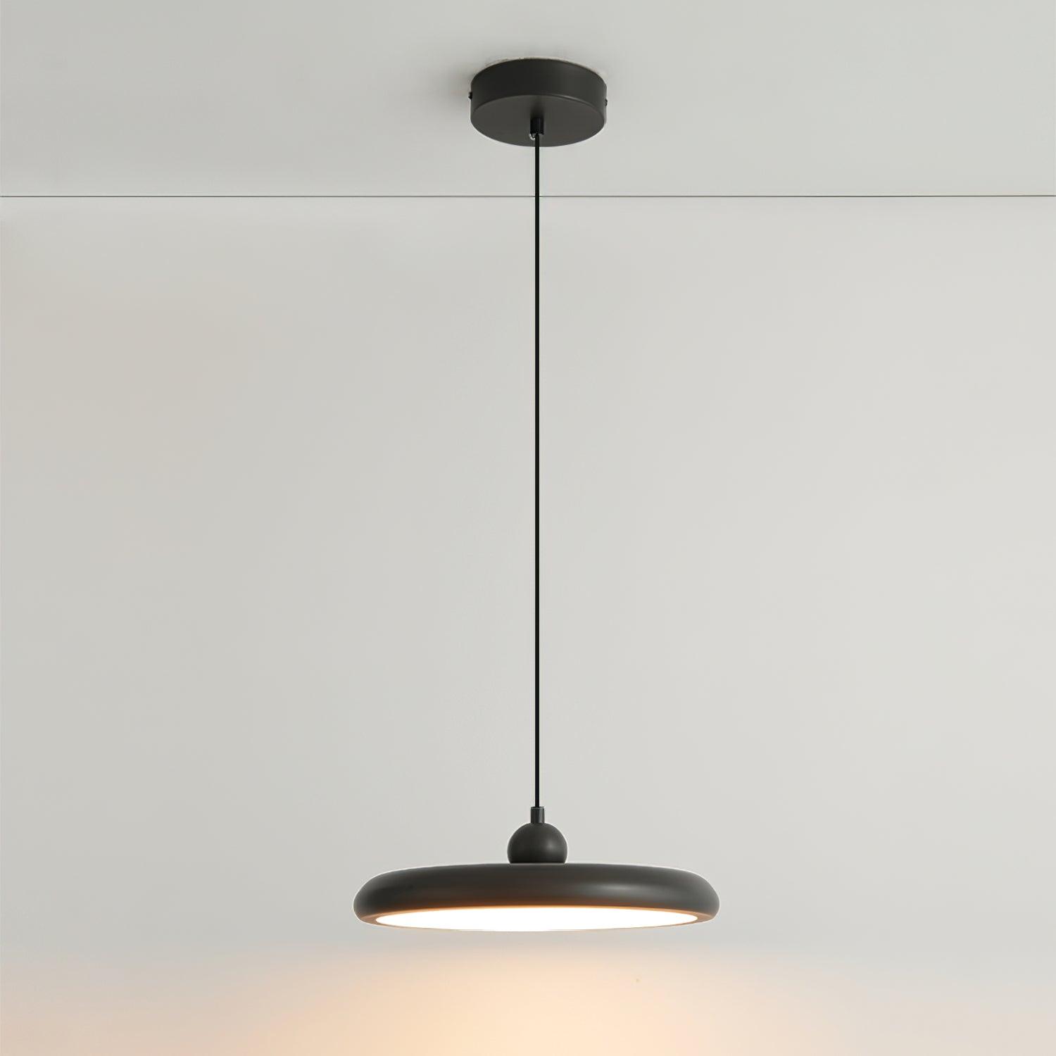 Thin Disc Pendant Lamp - Blowlighting