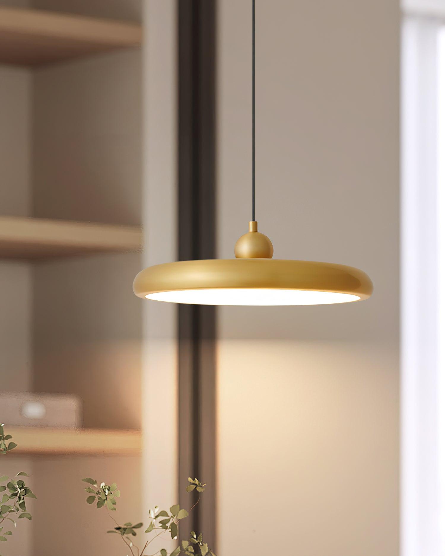 Thin Disc Pendant Lamp - Blowlighting