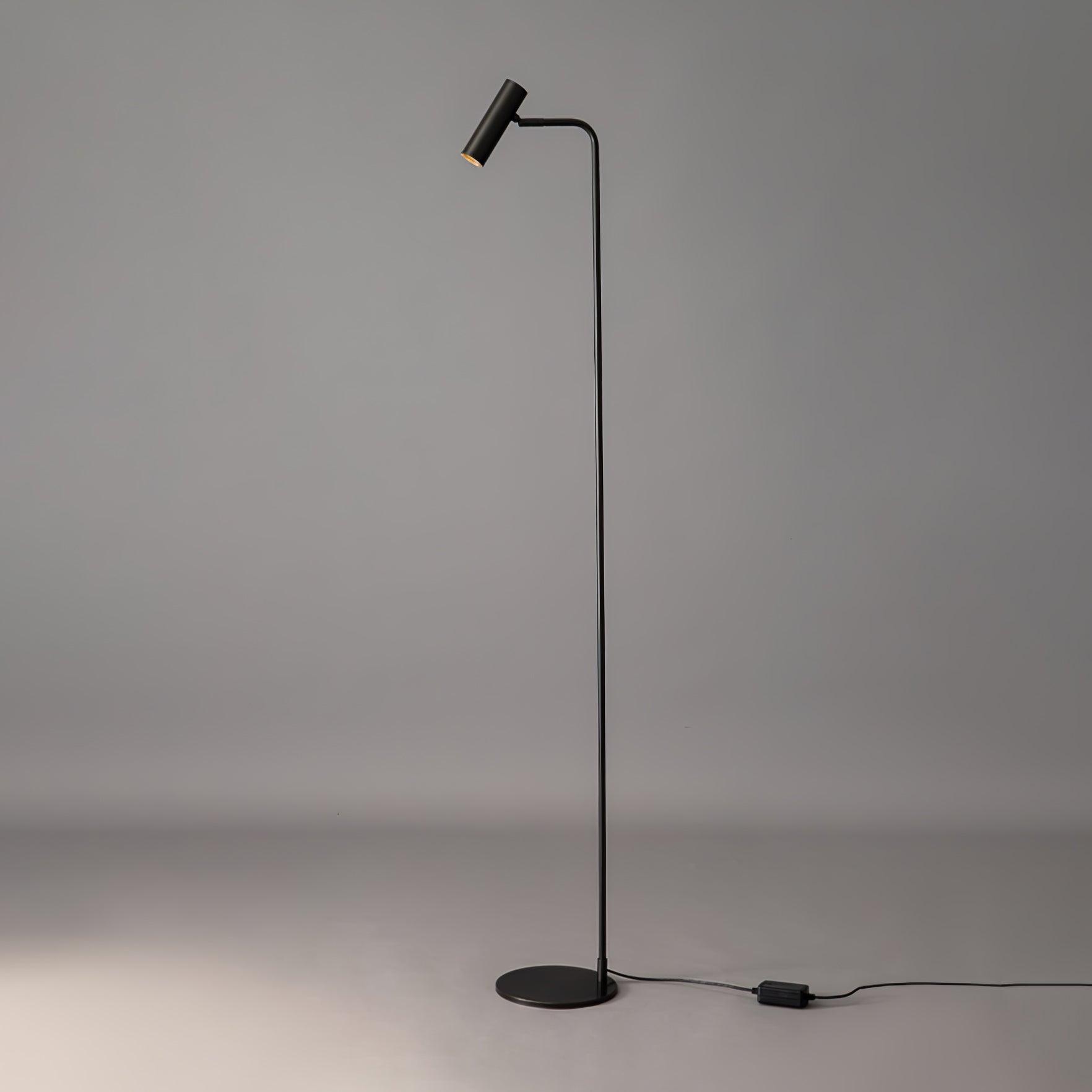 Torris Floor Lamp - Blowlighting