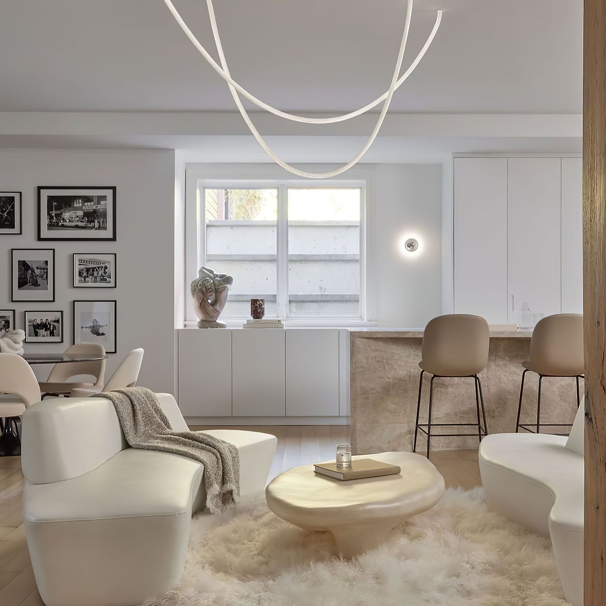 Flexible Curve Pendant Lamp - Blowlighting