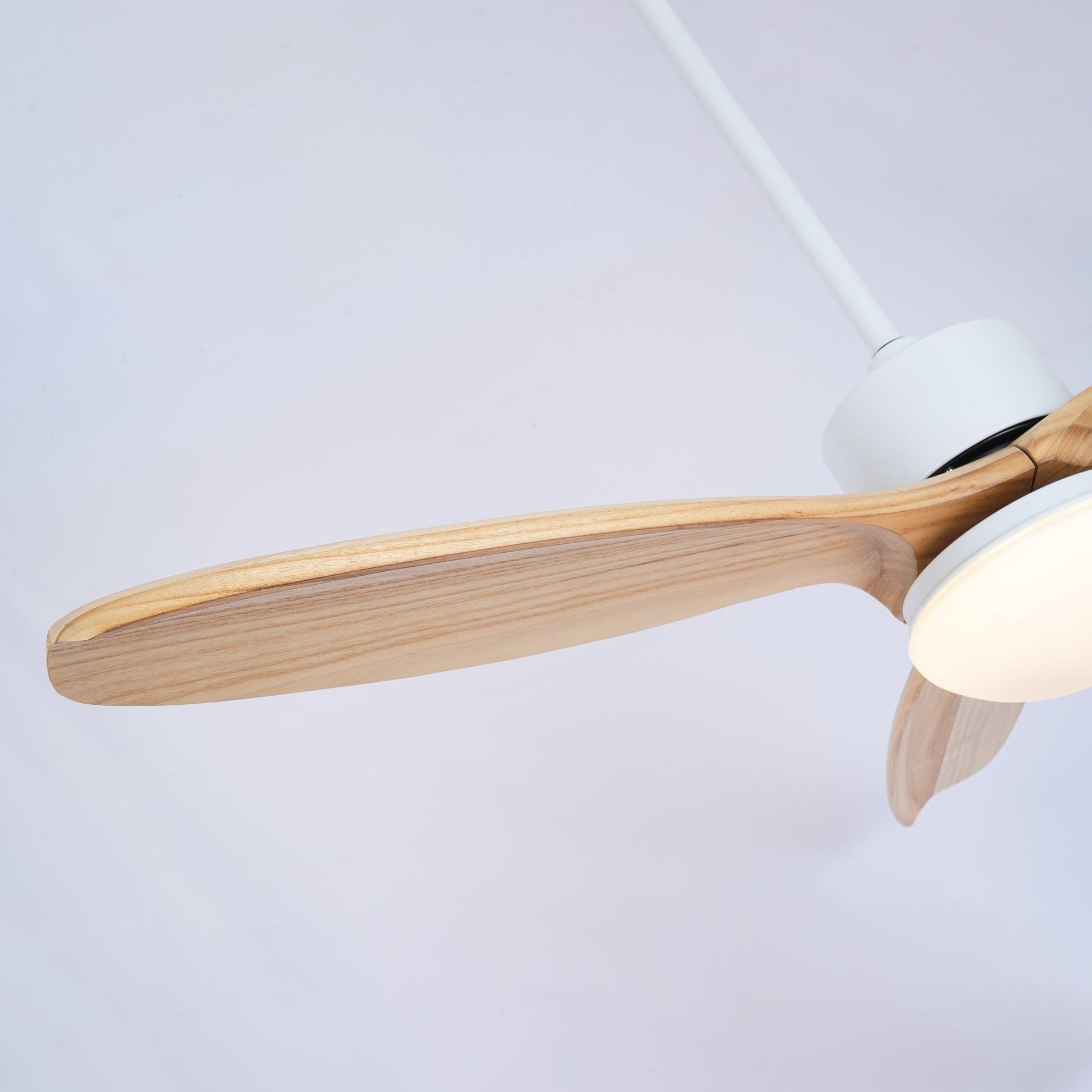 Harborough 3 Ceiling Fan Light - Blowlighting