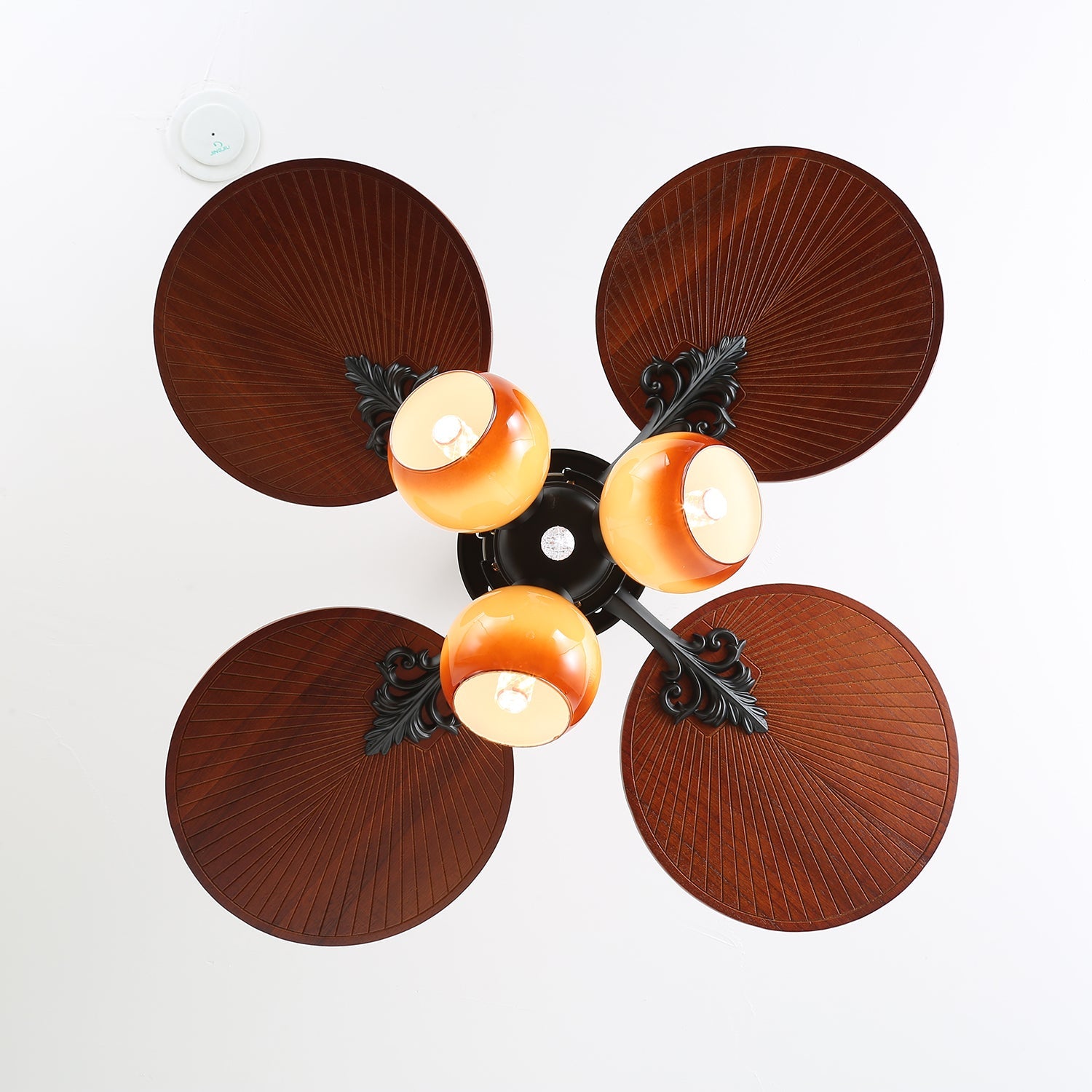 Solara Tropical Glass Ceiling Fan Light - Blowlighting