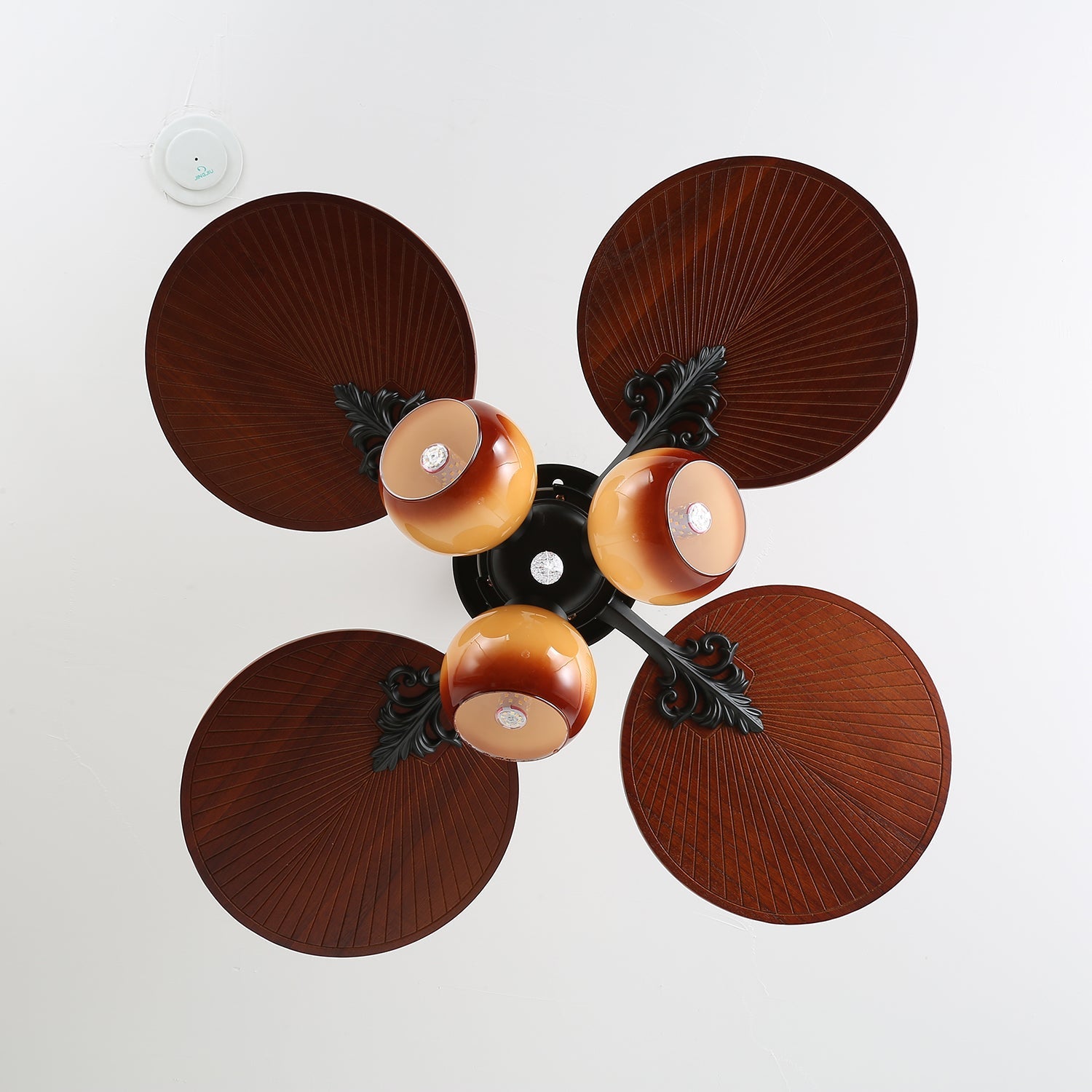 Solara Tropical Glass Ceiling Fan Light - Blowlighting