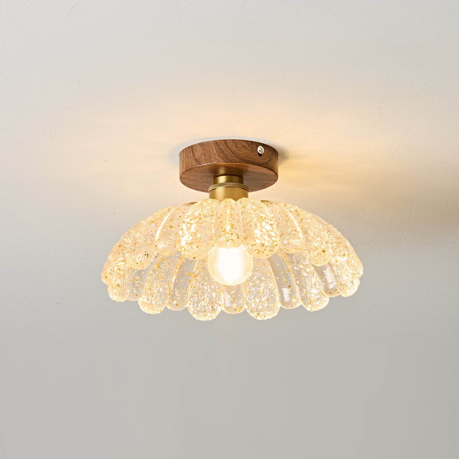 Vaczon Modern Acrylic Ceiling Lamp