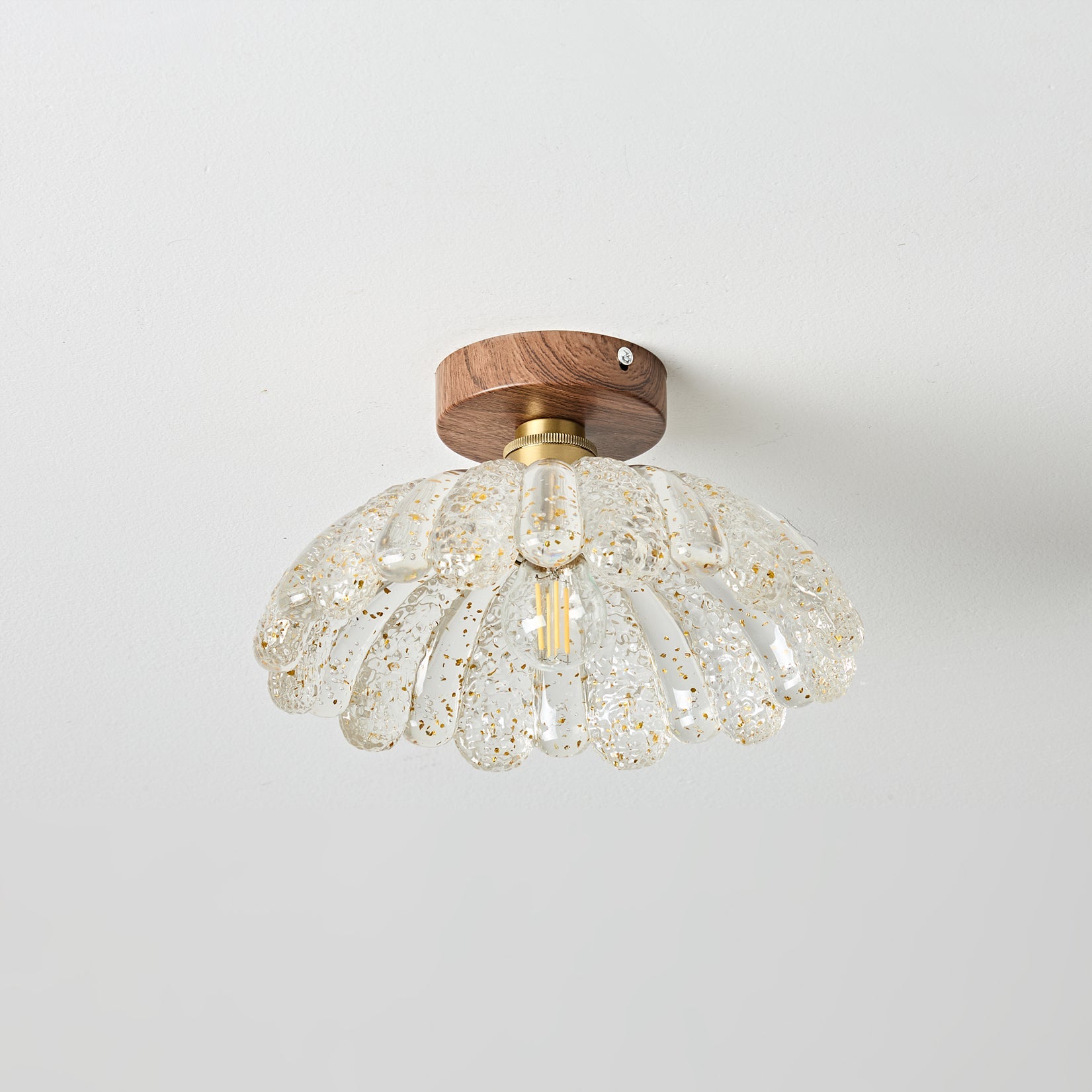 Vaczon Modern Acrylic Ceiling Lamp