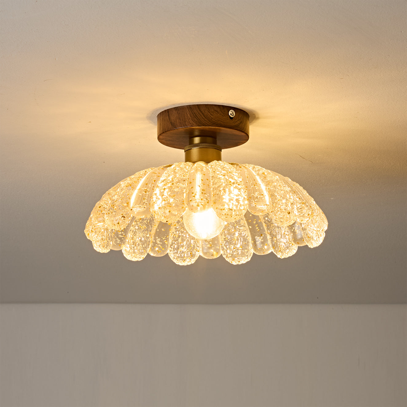 Vaczon Modern Acrylic Ceiling Lamp