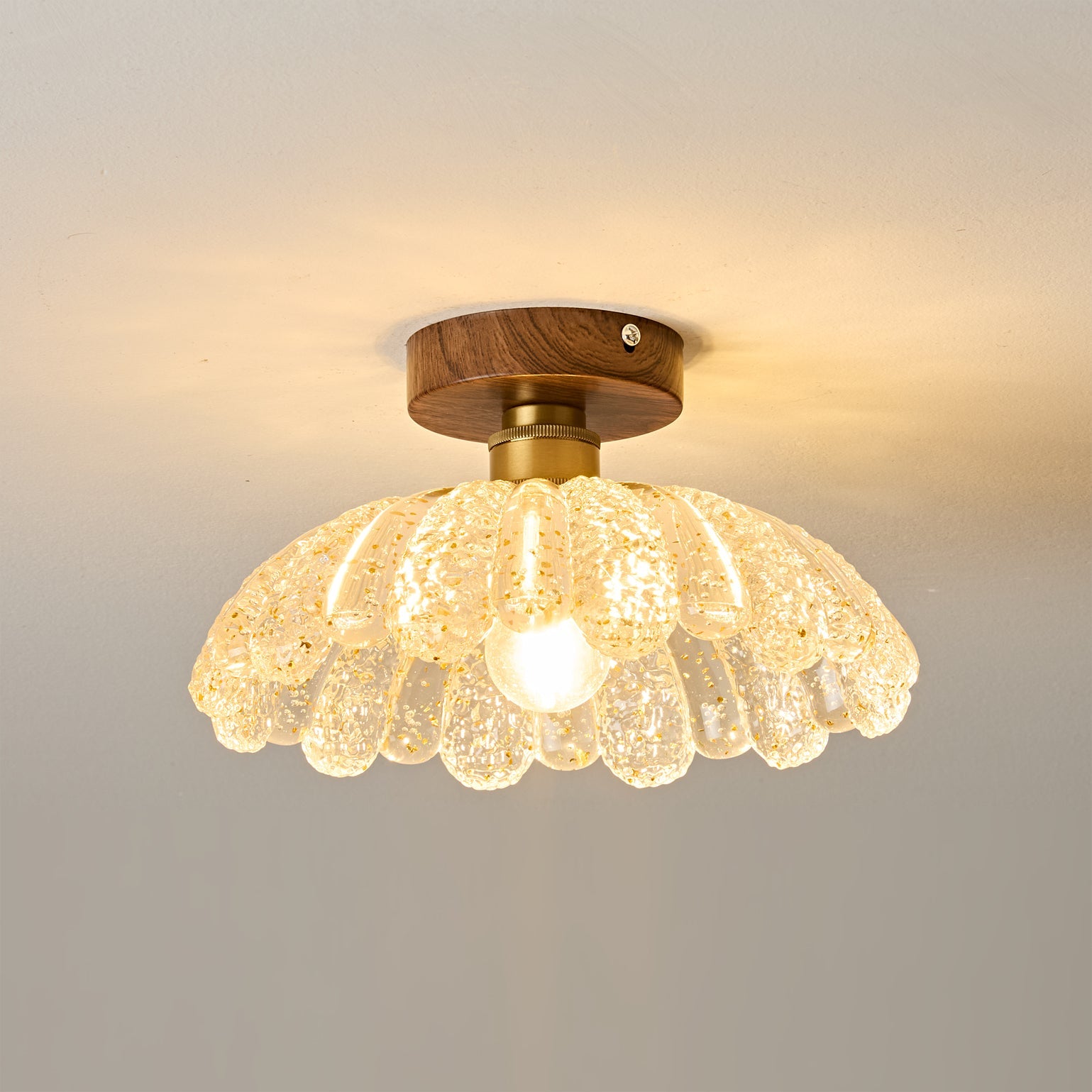 Vaczon Modern Acrylic Ceiling Lamp