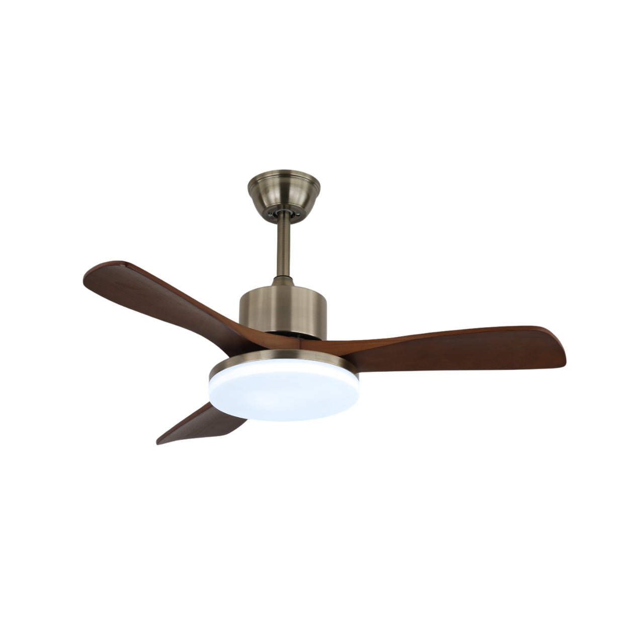 Selora Brass Wood Ceiling Fan Light - Blowlighting