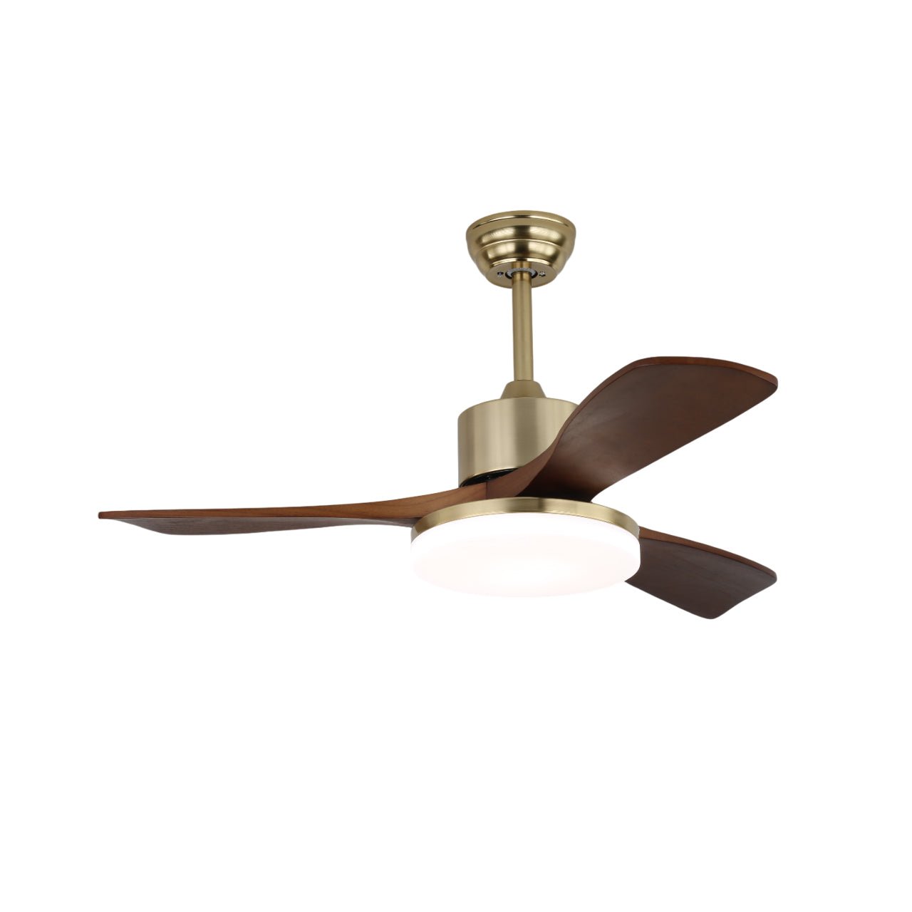 Selora Brass Wood Ceiling Fan Light - Blowlighting