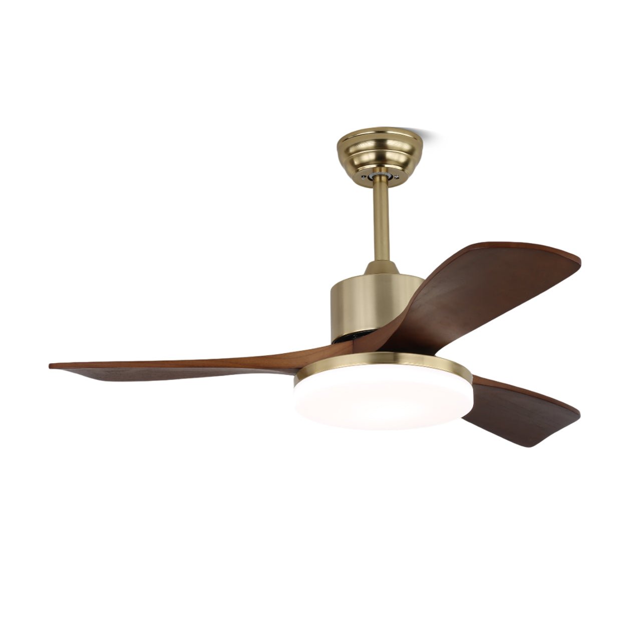 Selora Brass Wood Ceiling Fan Light - Blowlighting