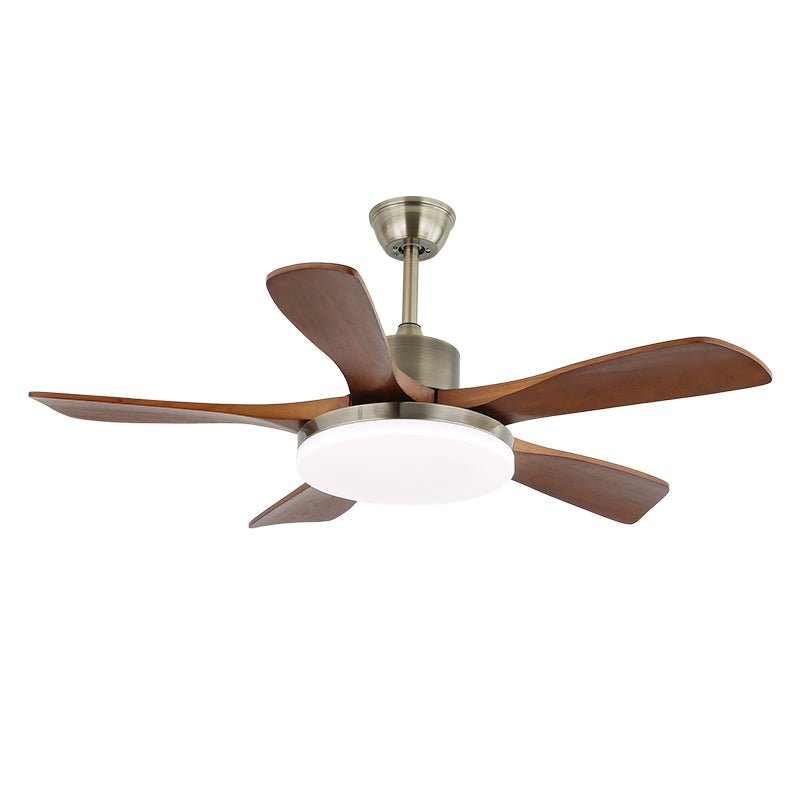 Elara Modern Brass Wood Ceiling Fan Light - Blowlighting