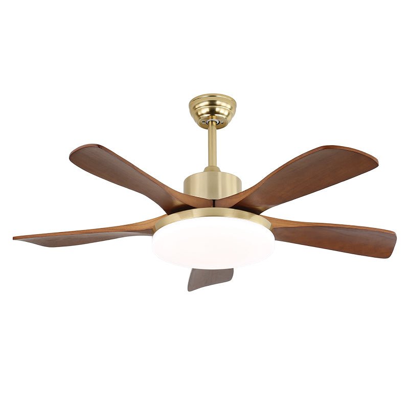 Elara Modern Brass Wood Ceiling Fan Light - Blowlighting