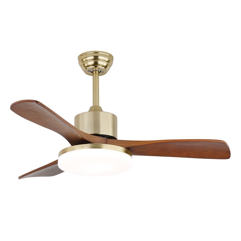 Elara Modern Brass Wood Ceiling Fan Light - Blowlighting