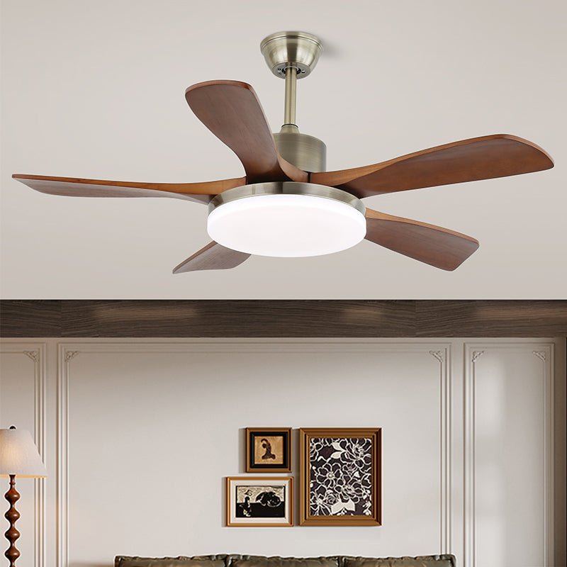 Elara Modern Brass Wood Ceiling Fan Light - Blowlighting