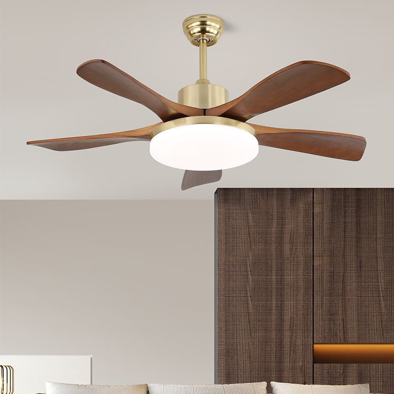 Elara Modern Brass Wood Ceiling Fan Light - Blowlighting
