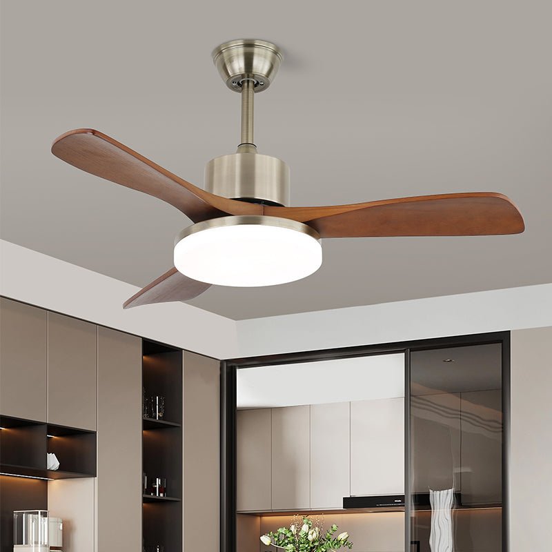 Elara Modern Brass Wood Ceiling Fan Light - Blowlighting