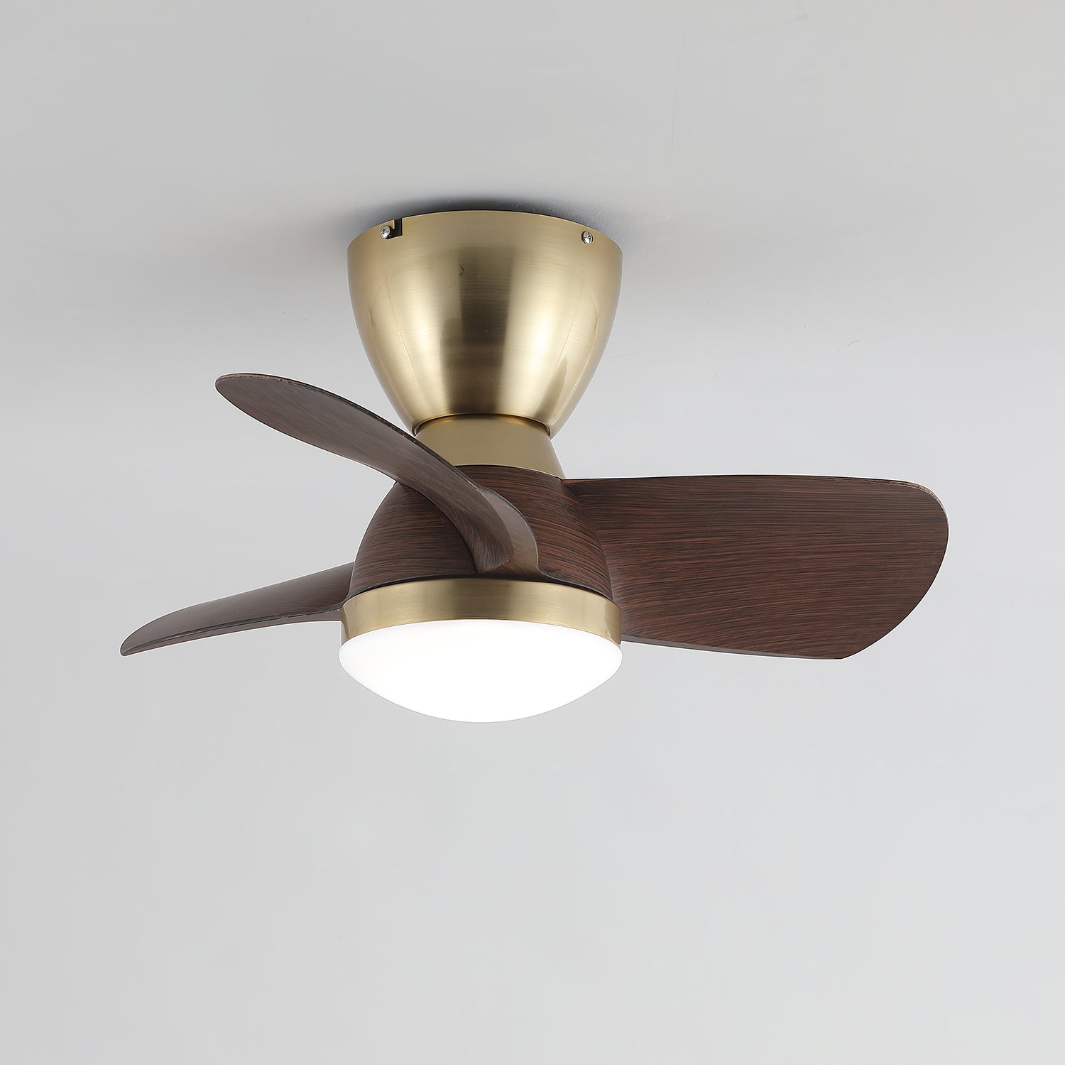 Elora Minimalist Brass Wood Ceiling Fan Light - Blowlighting