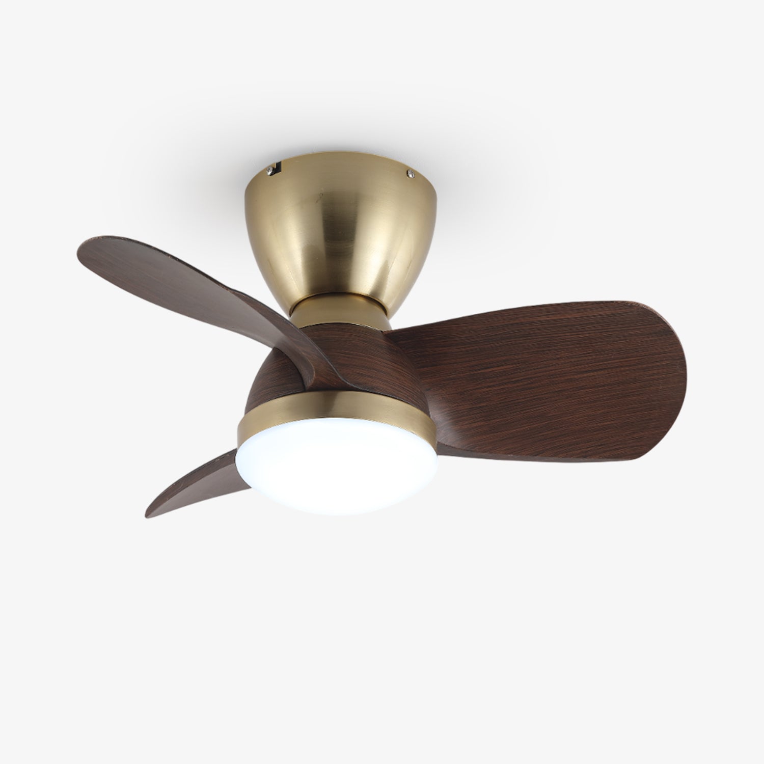 Elora Minimalist Brass Wood Ceiling Fan Light - Blowlighting