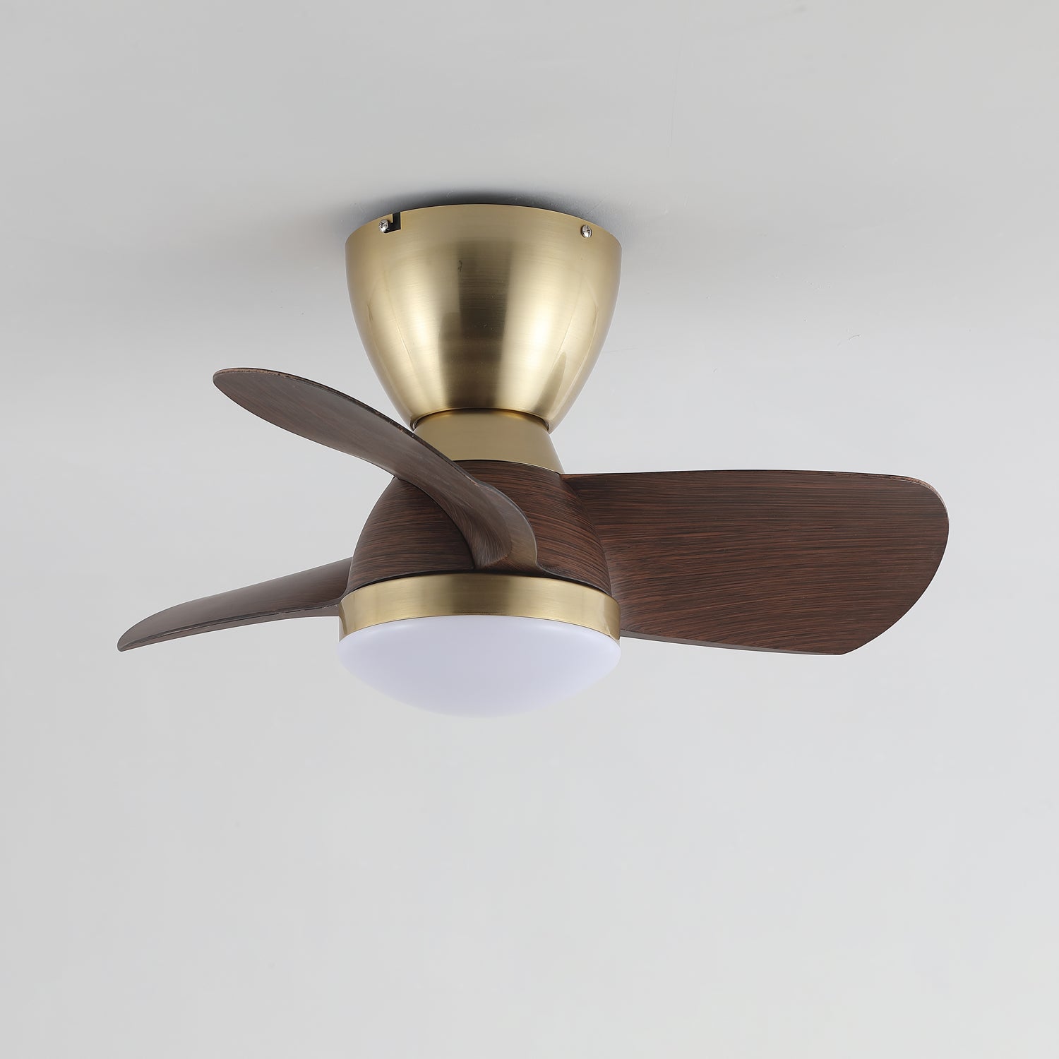 Elora Minimalist Brass Wood Ceiling Fan Light - Blowlighting