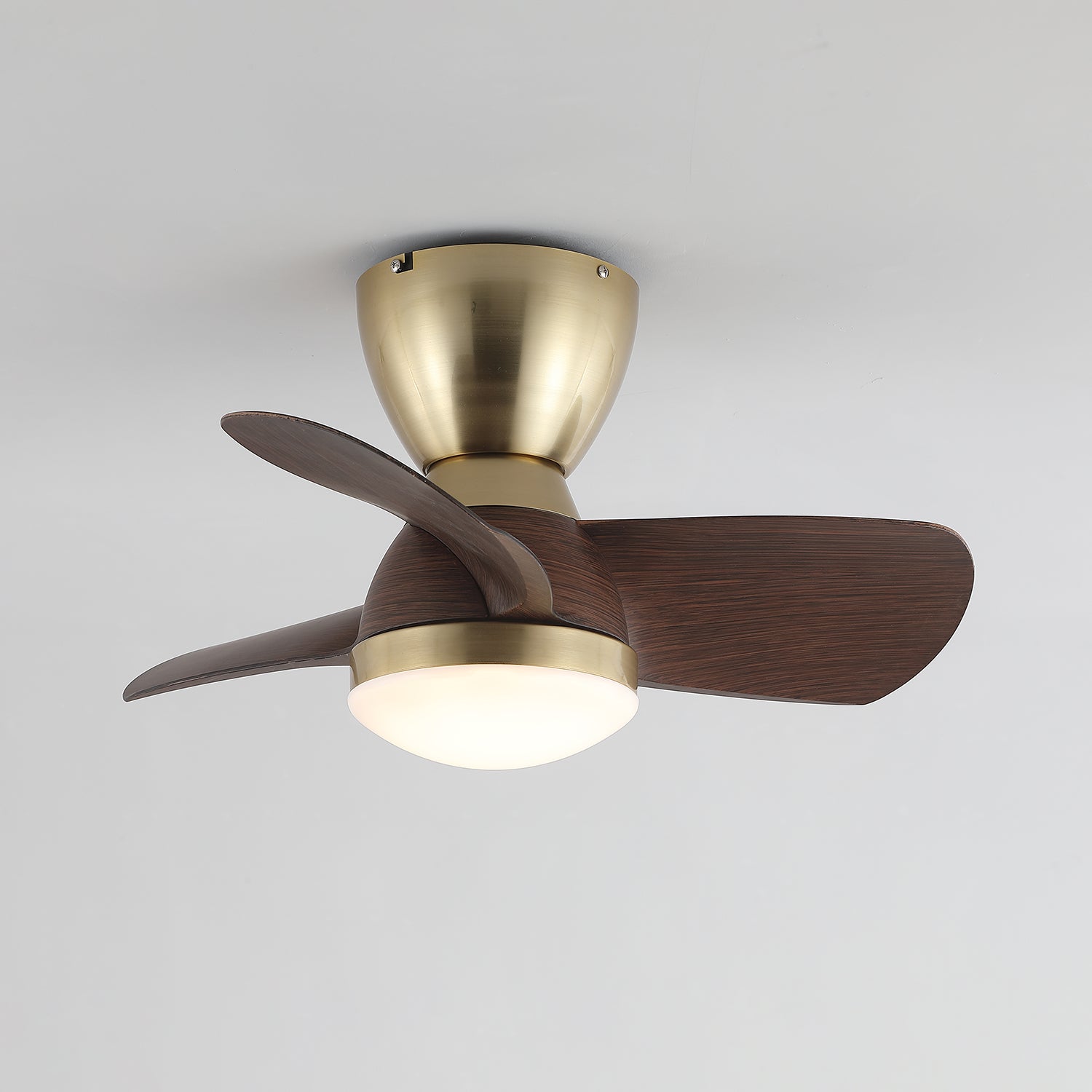Elora Minimalist Brass Wood Ceiling Fan Light - Blowlighting