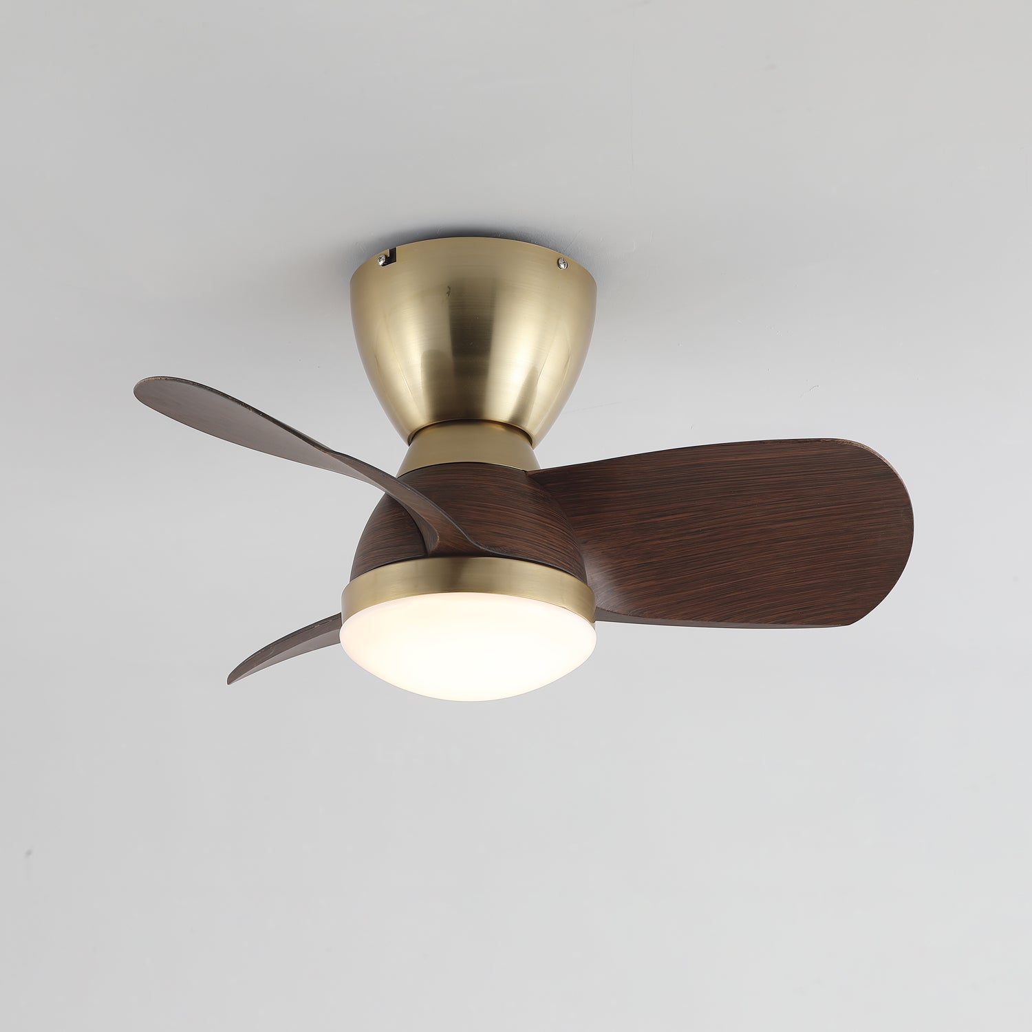 Elora Minimalist Brass Wood Ceiling Fan Light - Blowlighting
