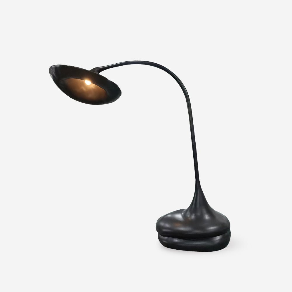 Elsilora Curved Black Desk Lamp - Blowlighting