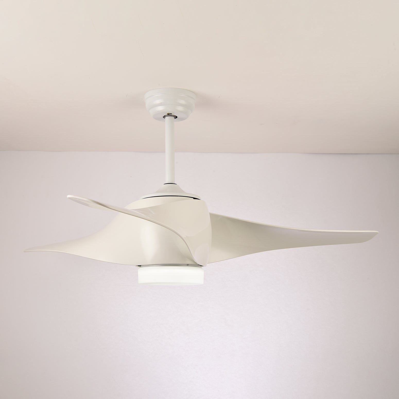 Eden Ceiling Fan Light - Blowlighting