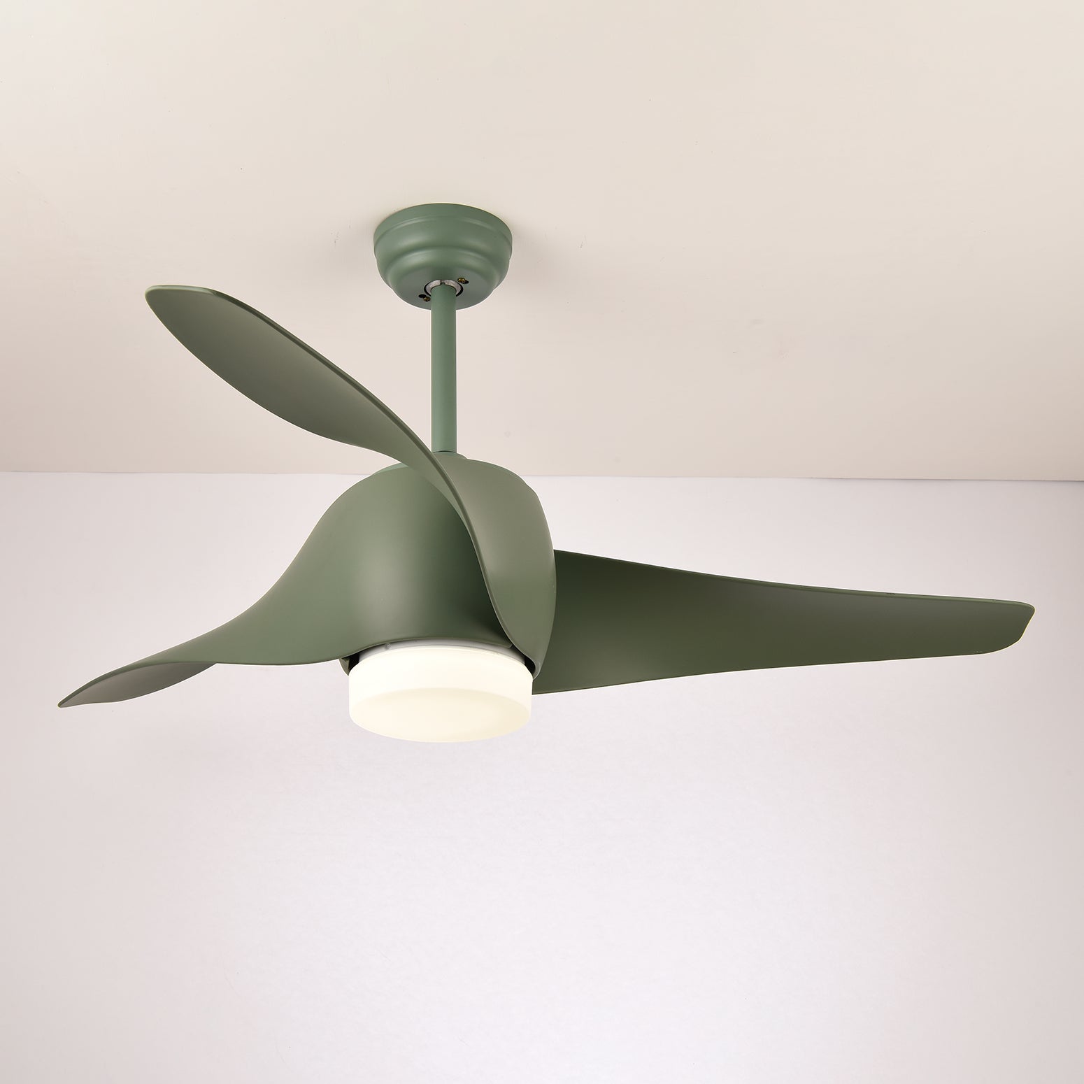 Eden Ceiling Fan Light - Blowlighting