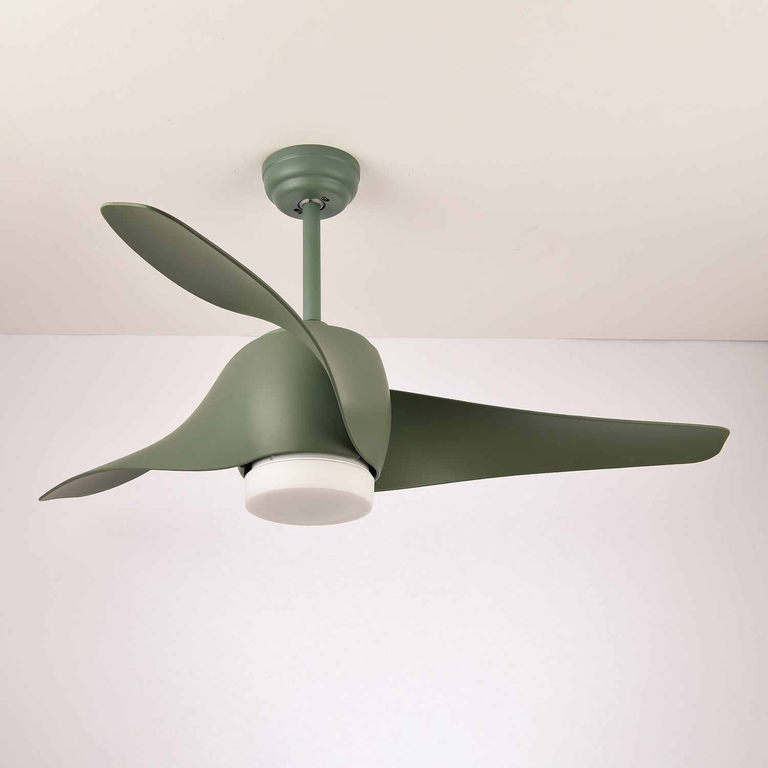 Eden Ceiling Fan Light - Blowlighting