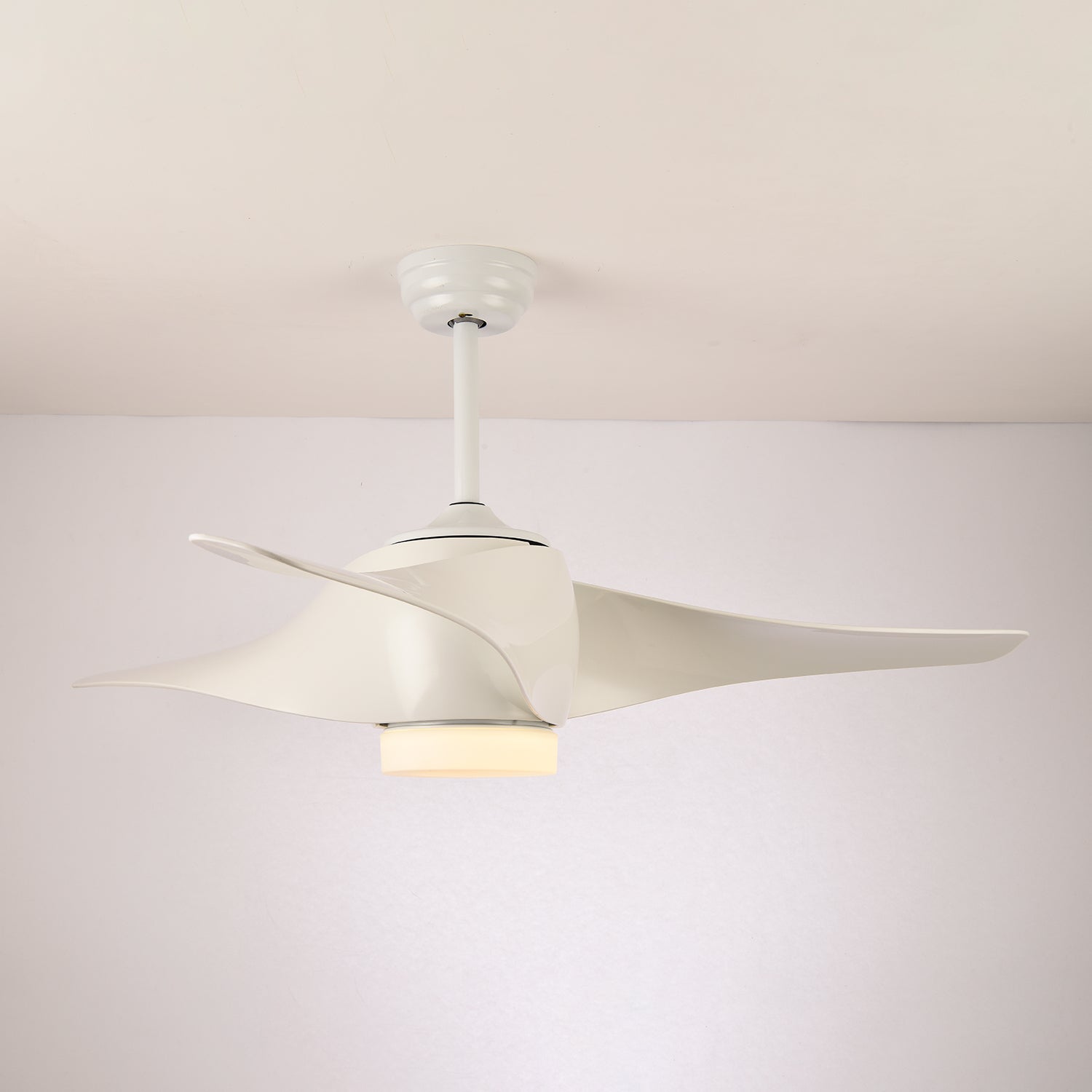 Eden Ceiling Fan Light - Blowlighting