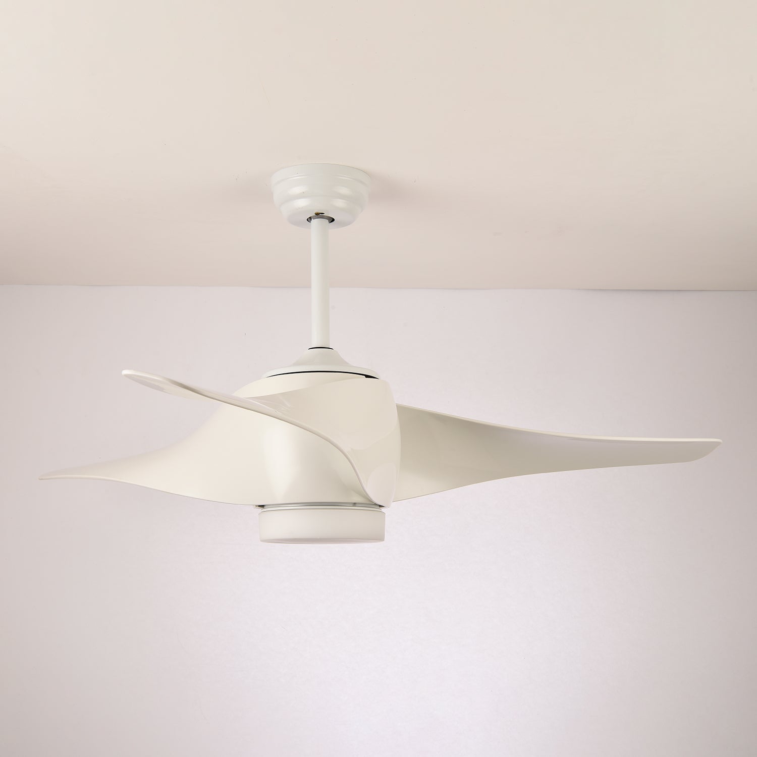 Eden Ceiling Fan Light - Blowlighting