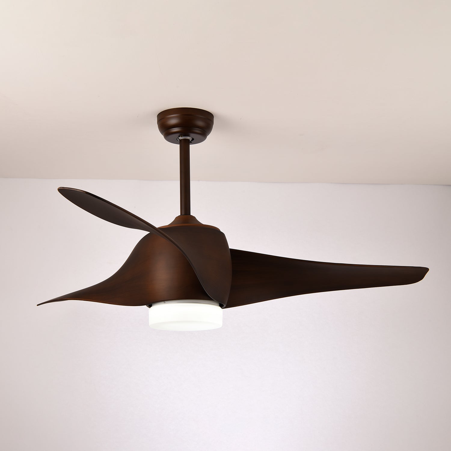 Eden Ceiling Fan Light - Blowlighting