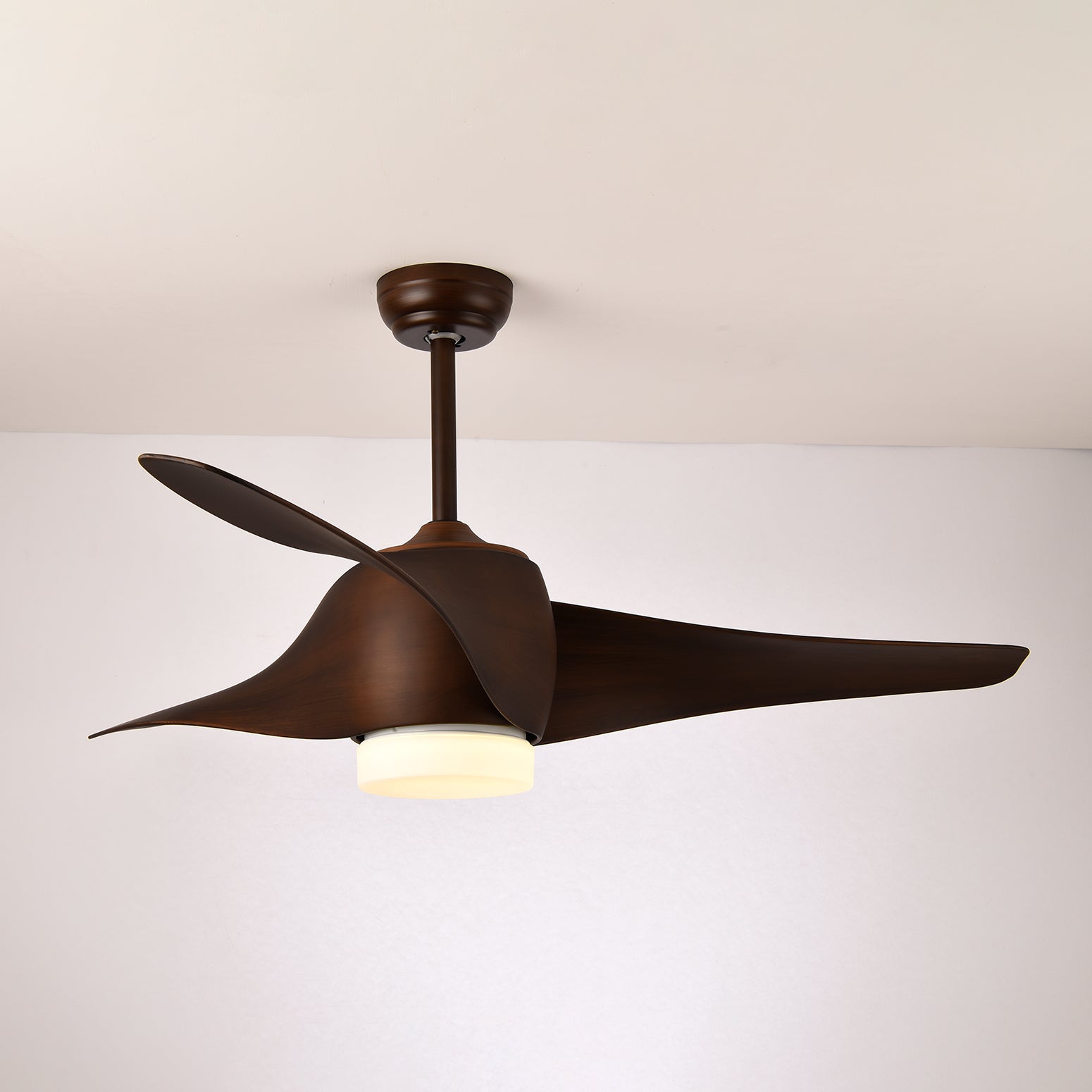 Eden Ceiling Fan Light - Blowlighting