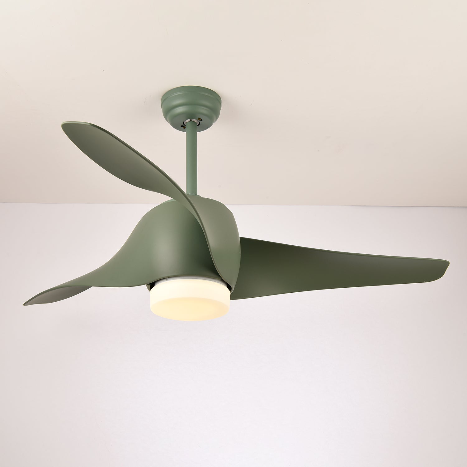 Eden Ceiling Fan Light - Blowlighting