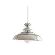 Vickie Contemporary Metal Pendant Light