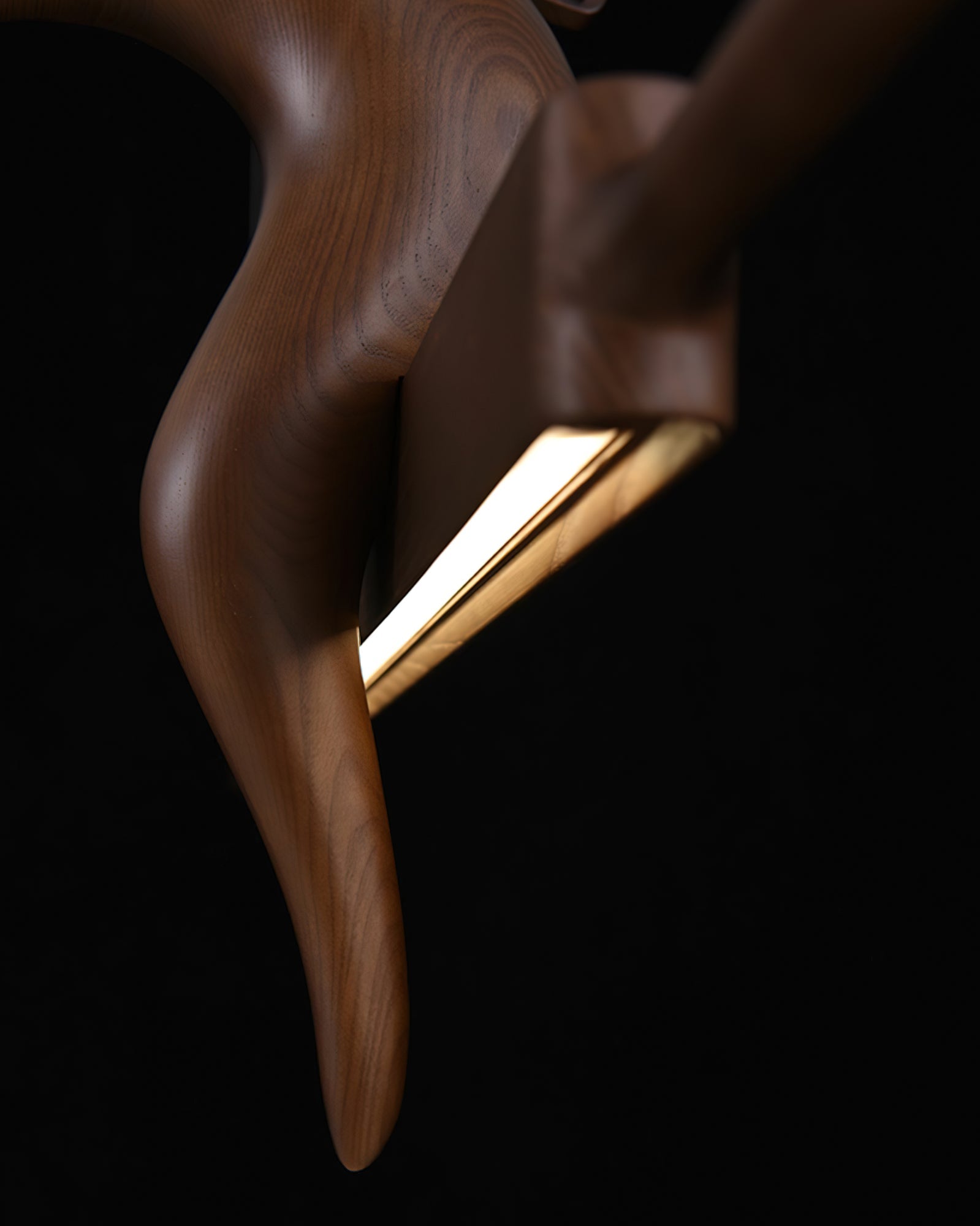 Varinisra Sculptural Oak Pendant Light - Blowlighting