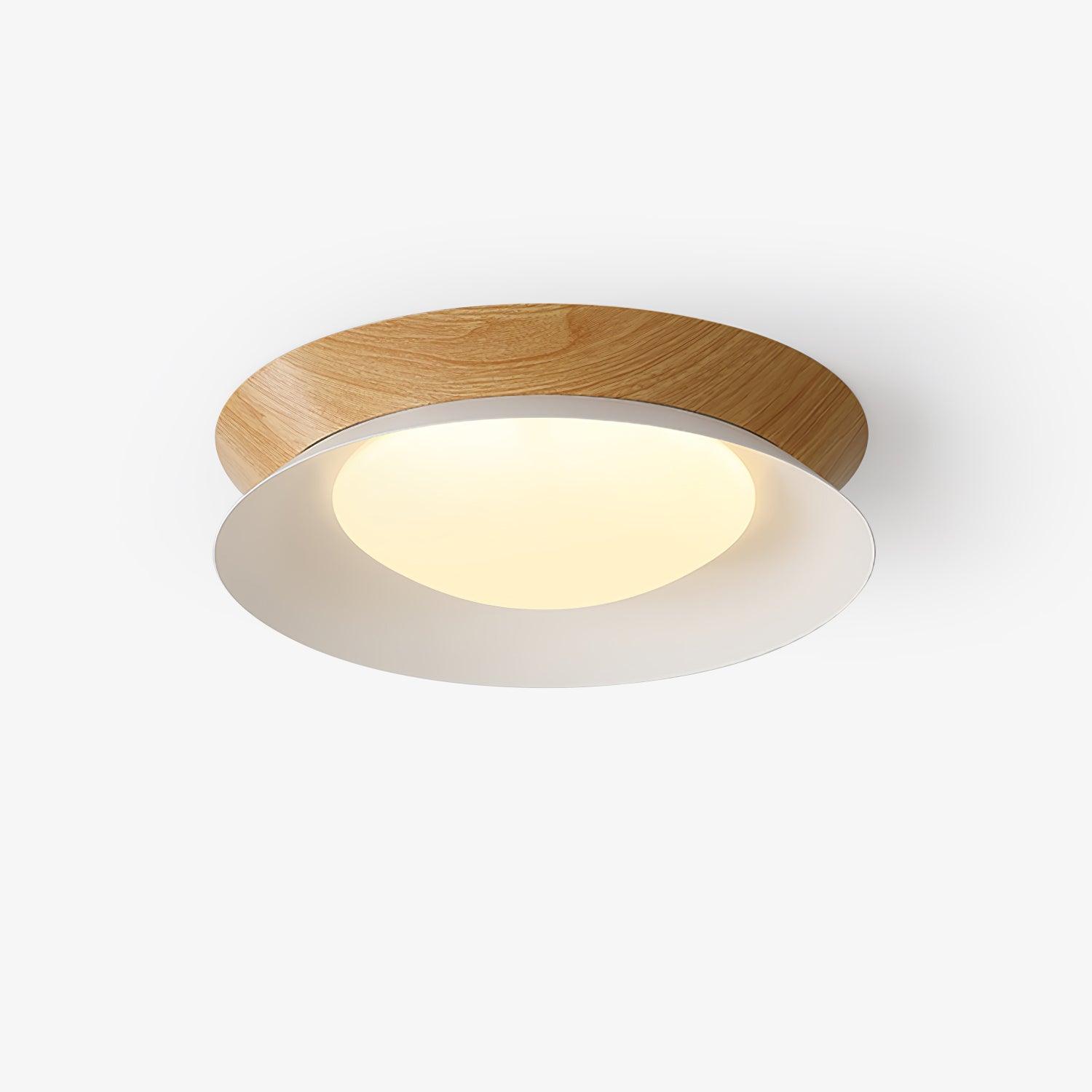 Double Half Round Ceiling Light - Blowlighting
