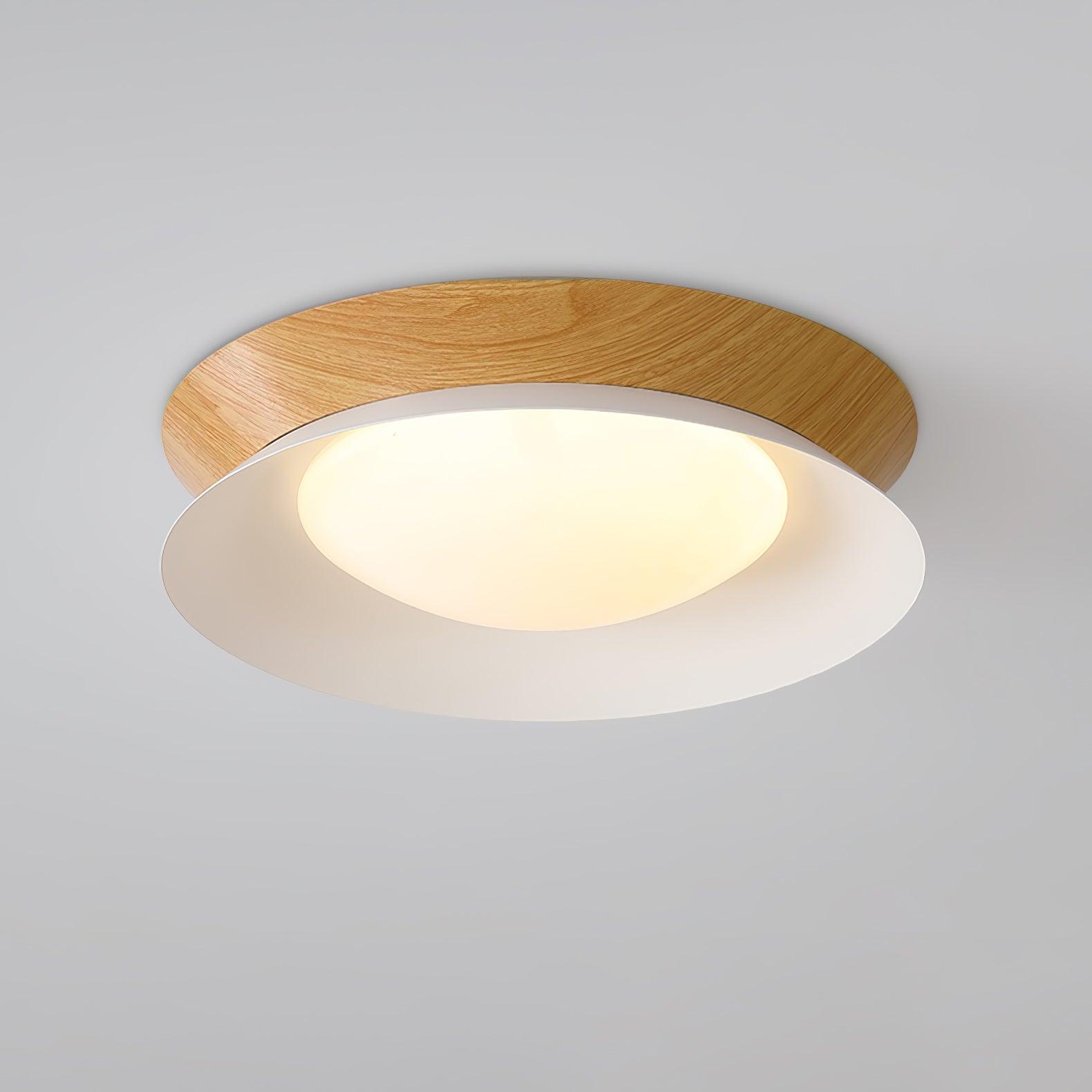 Double Half Round Ceiling Light - Blowlighting