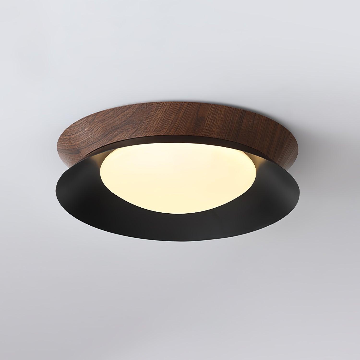Double Half Round Ceiling Light - Blowlighting