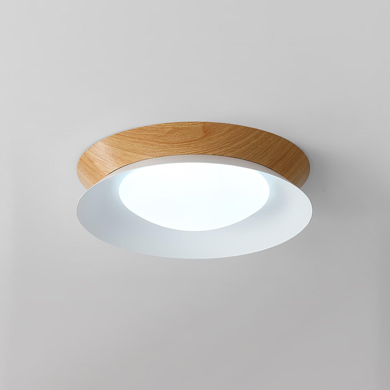 Double Half Round Ceiling Light - Blowlighting