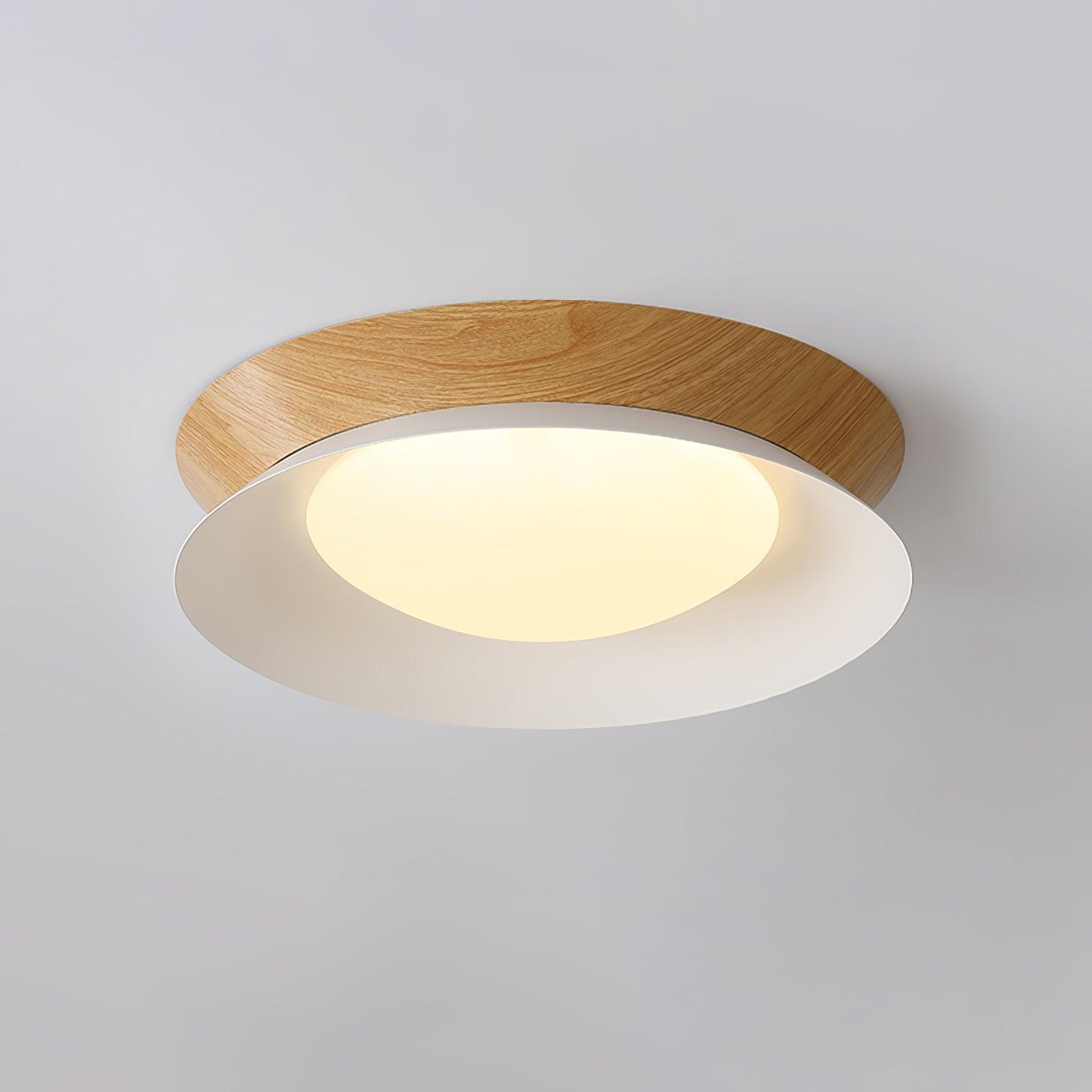 Double Half Round Ceiling Light - Blowlighting