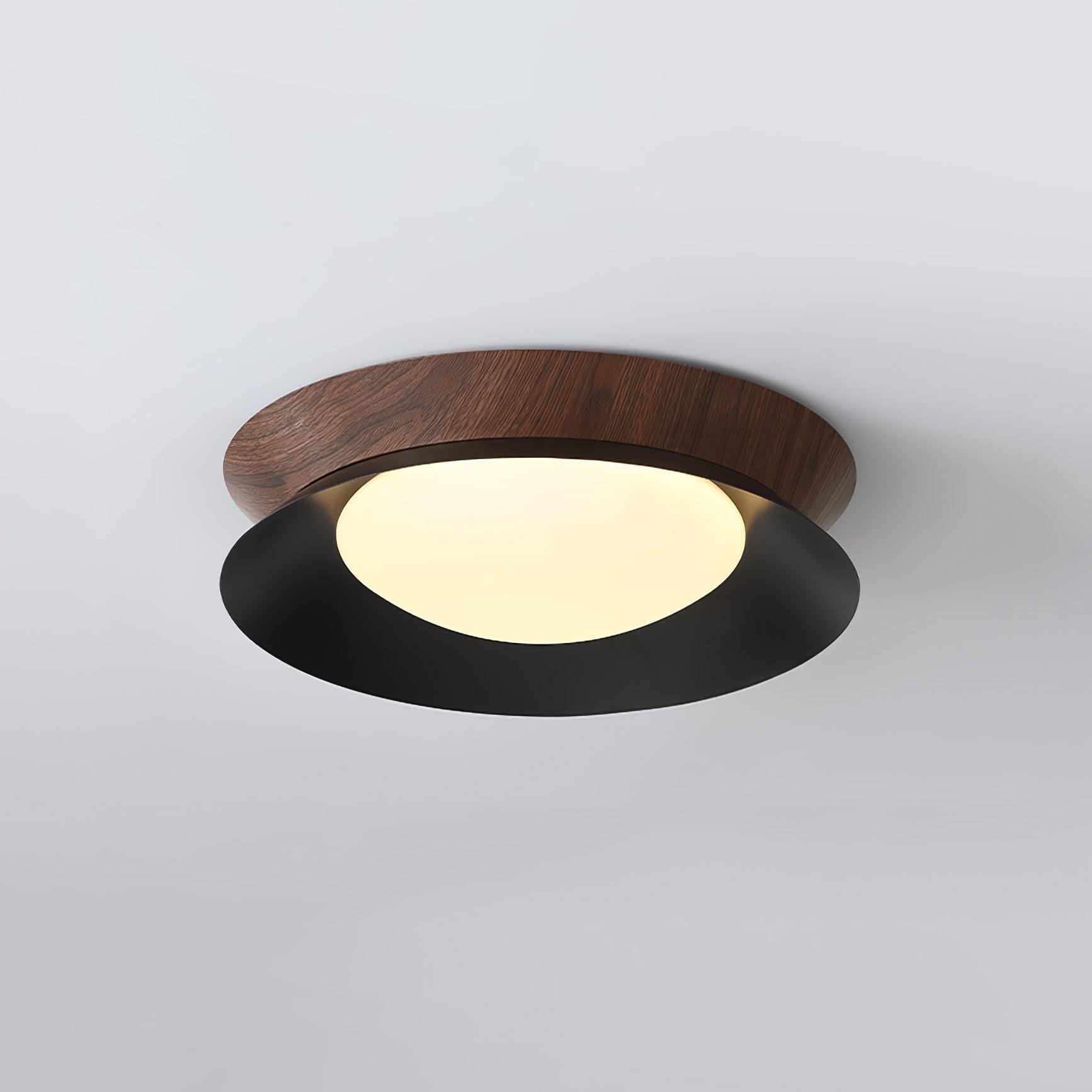 Double Half Round Ceiling Light - Blowlighting