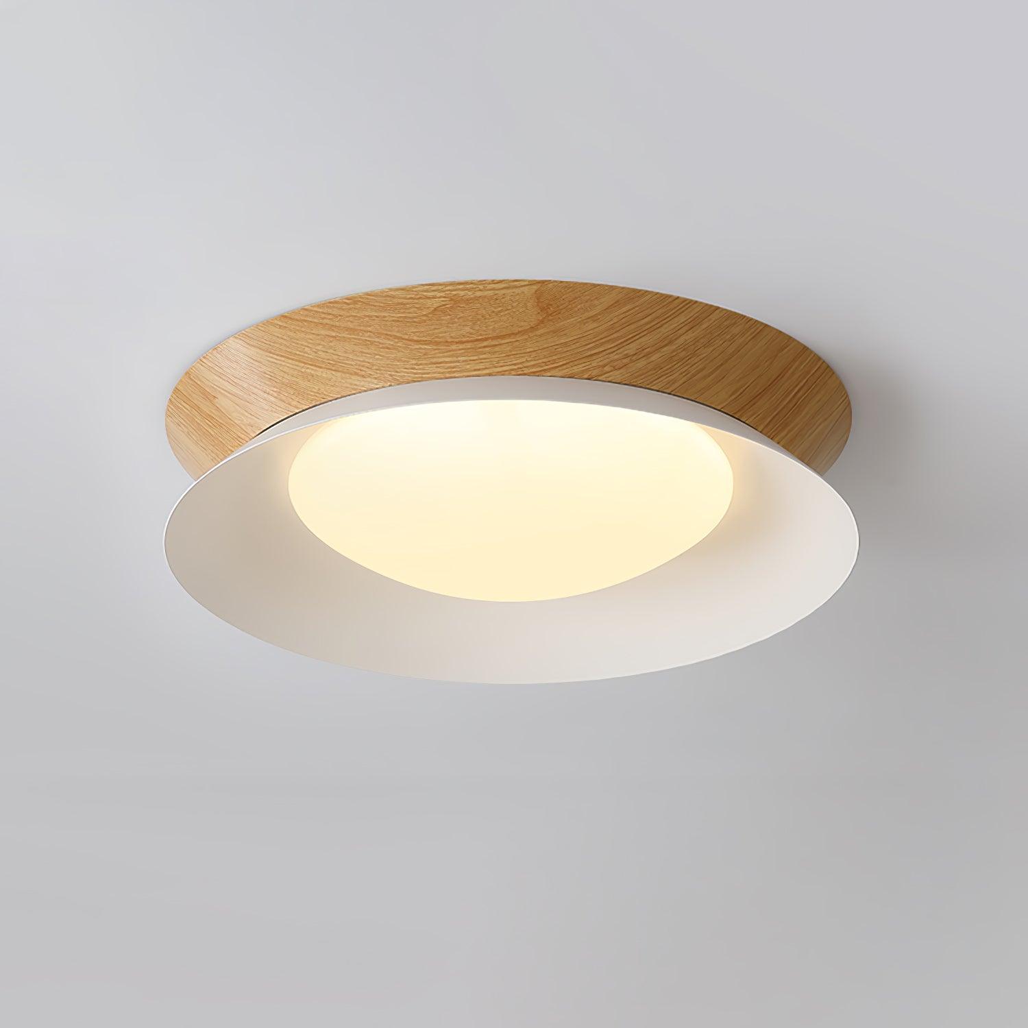 Double Half Round Ceiling Light - Blowlighting