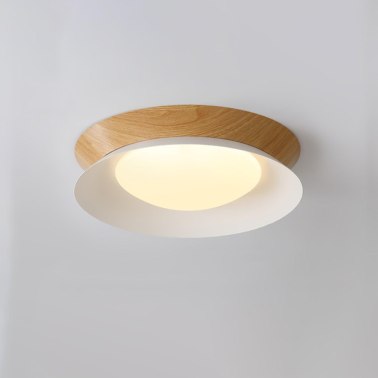 Double Half Round Ceiling Light - Blowlighting
