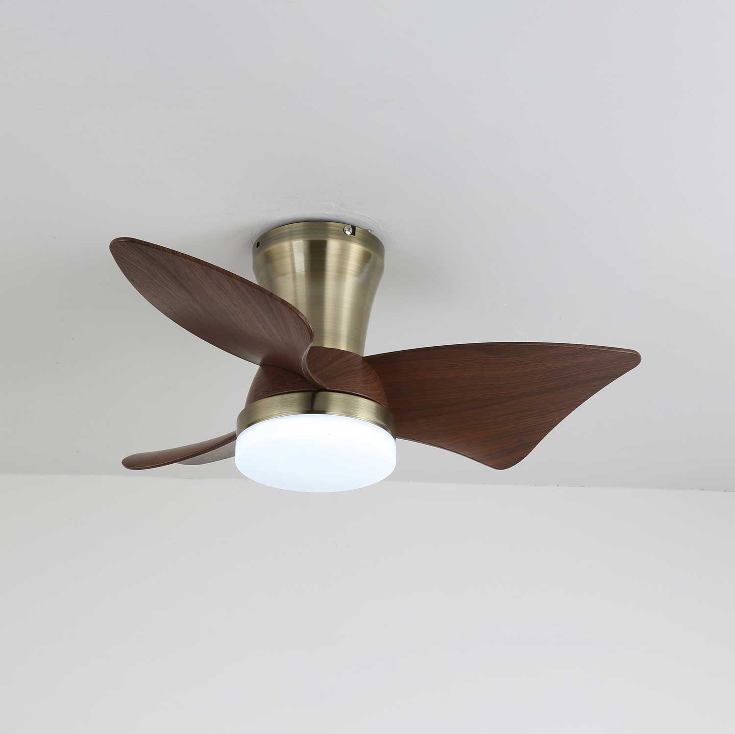 Caspian Modern Wood Ceiling Fan Light - Blowlighting