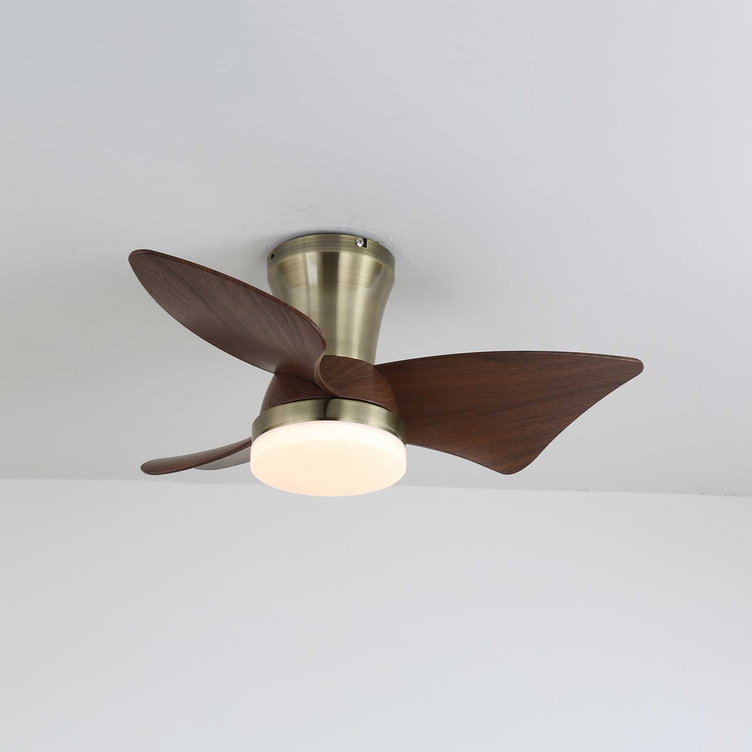 Caspian Modern Wood Ceiling Fan Light - Blowlighting