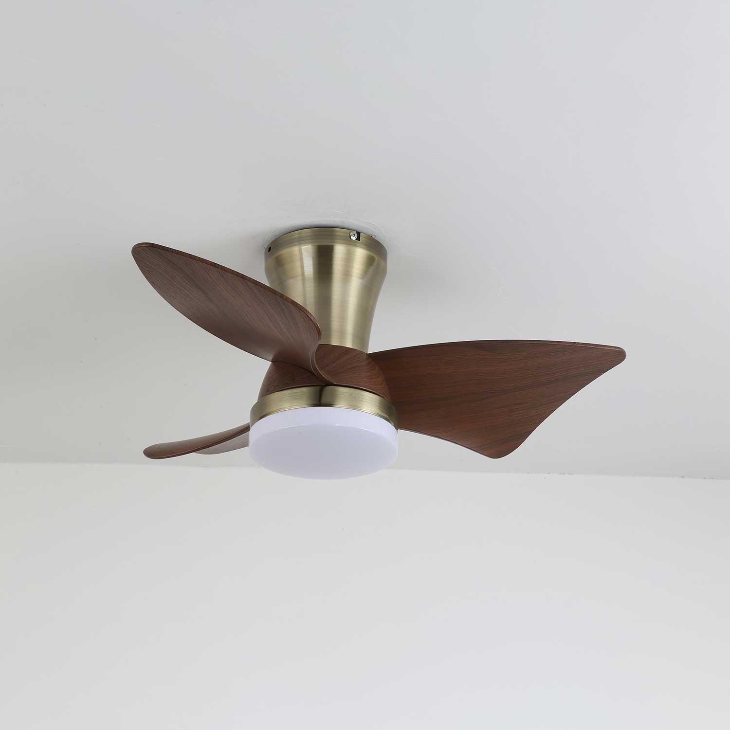 Caspian Modern Wood Ceiling Fan Light - Blowlighting