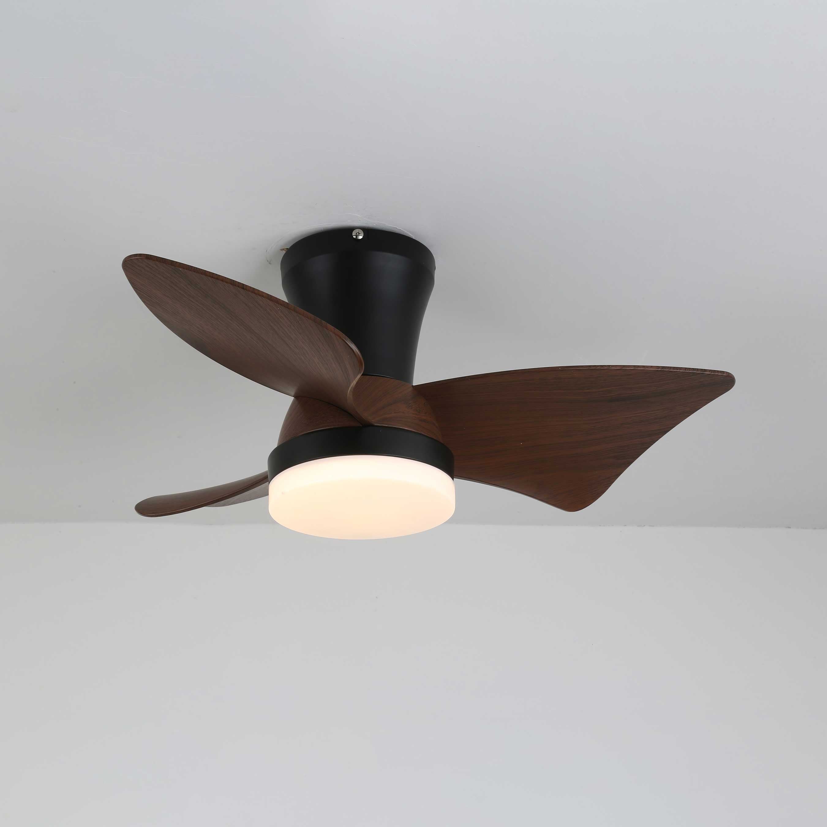 Caspian Modern Wood Ceiling Fan Light - Blowlighting